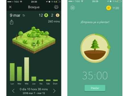 vida sostenible forest app