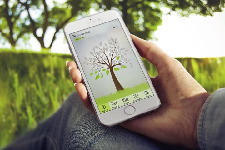 vida sostenible refresh go green